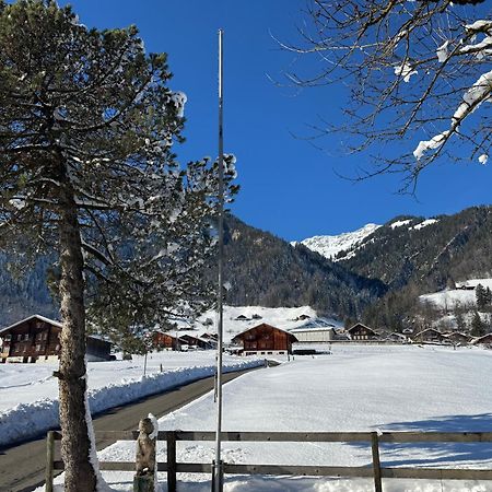 Edelweiss 4 Zi Ferienwohnung In Landhaus Фрутиген Екстериор снимка
