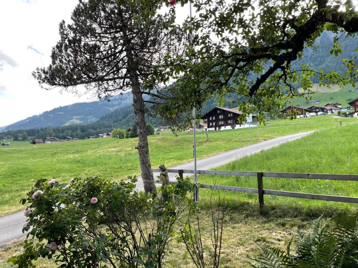 Edelweiss 4 Zi Ferienwohnung In Landhaus Фрутиген Екстериор снимка
