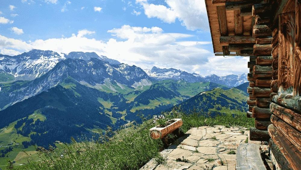 Edelweiss 4 Zi Ferienwohnung In Landhaus Фрутиген Екстериор снимка