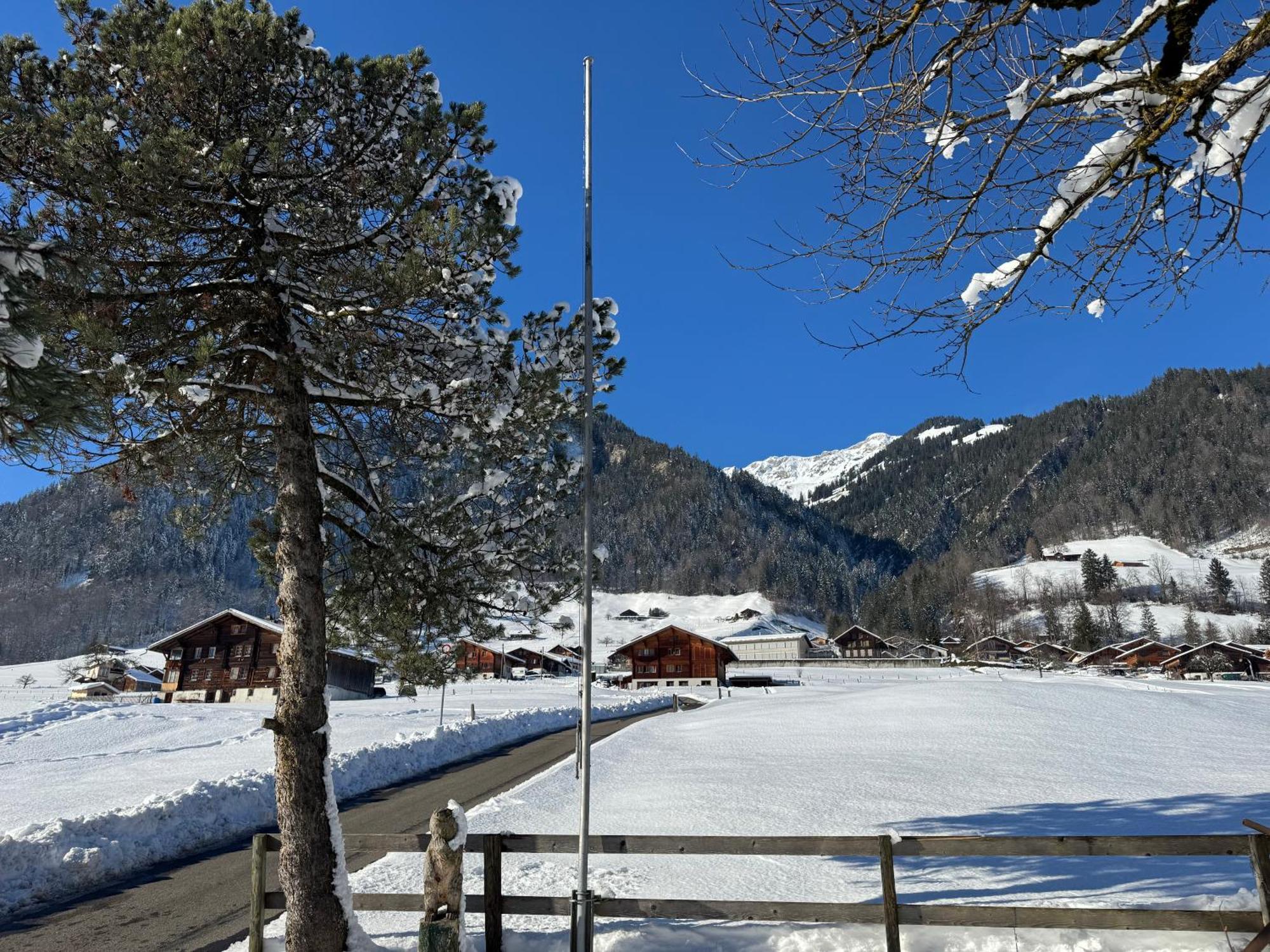 Edelweiss 4 Zi Ferienwohnung In Landhaus Фрутиген Екстериор снимка